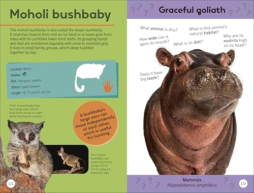 Quiz Yourself Clever! Animals of the World (DK Quiz Yourself Clever)