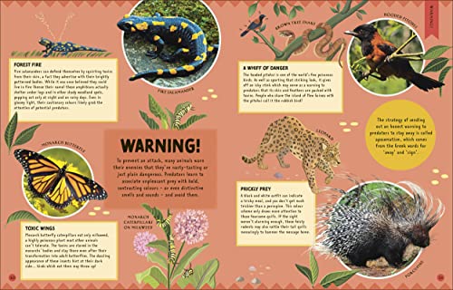 How Not to Get Eaten: More than 75 Incredible Animal Defenses (Wonders of Wildlife)