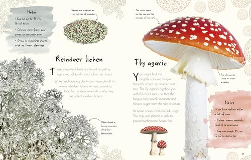 An Anthology of Fungi: A Collection of 100 Mushrooms, Toadstools and Other Fungi