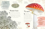 An Anthology of Fungi: A Collection of 100 Mushrooms, Toadstools and Other Fungi