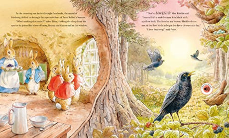 Peter Rabbit: Peter's Nature Walk: A Sound Book - Retail Maharaj