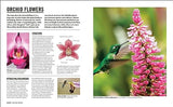 Grow Orchids: Essential Know-how and Expert Advice for Gardening Success