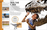 Behind the Scenes at the Museum: Your Access-All-Areas Guide to the World's Most Amazing Museums