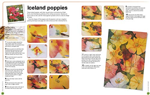 Ready to Paint in 30 Minutes: Flowers in Watercolour - Retail Maharaj