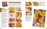 Ready to Paint in 30 Minutes: Flowers in Watercolour - Retail Maharaj