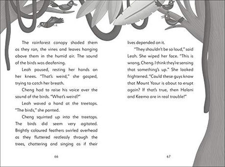 The Secret Explorers and the Smoking Volcano - Retail Maharaj