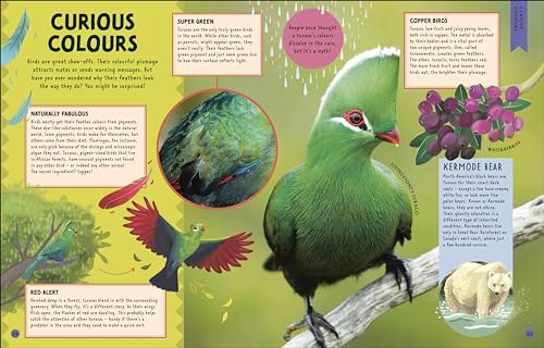 Odd Animals Out (Wonders of Wildlife)