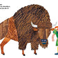 From Head to Toe [Paperback] Eric Carle [Paperback] Eric Carle