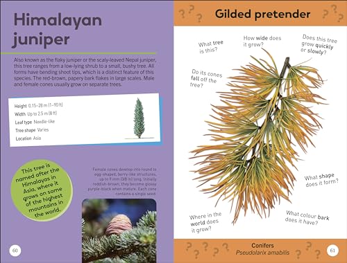 Quiz Yourself Clever! Trees of the World