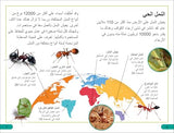 DK Super Readers Level 3 Ant Antics (Arabic translation)