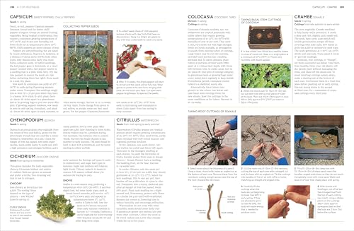 RHS Propagating Plants: How to Grow Plants for Free