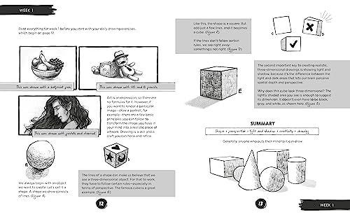 Learn to Draw in 5 Weeks: A Beginner's Workbook for All Ages