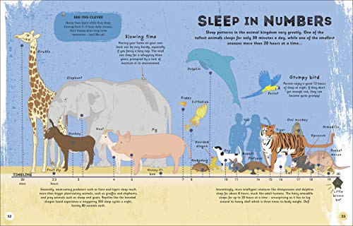 The Magic of Sleep: . . . and the Science of Dreams - Retail Maharaj