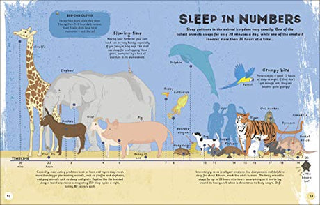 The Magic of Sleep: . . . and the Science of Dreams - Retail Maharaj