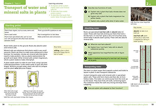 Lower Secondary Science Student’s Book: Stage 8 (Collins Cambridge Lower Secondary Science) - Retail Maharaj