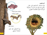 DK Super Readers Level 2 Wild Baby Animals (Arabic translation)