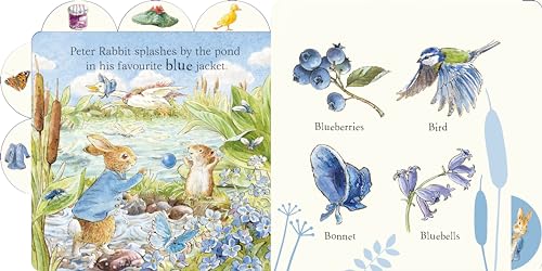 Peter Rabbit: First Colours: Tabbed Board Book