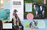 Odd Animals Out (Wonders of Wildlife)