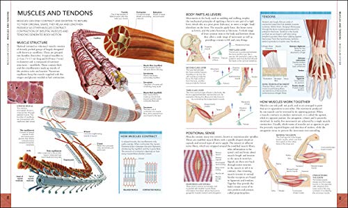 The Human Body Book