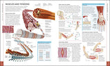 The Human Body Book