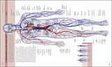 The Human Body Book