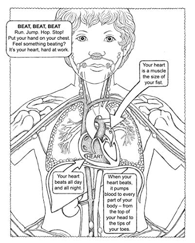 My First Human Body Book