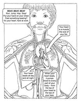 My First Human Body Book