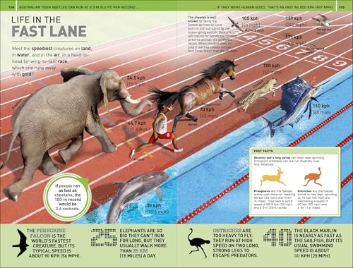 1,000 Amazing Record Breakers