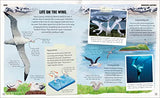 Amazing Animal Journeys: The Most Incredible Migrations in the Natural World