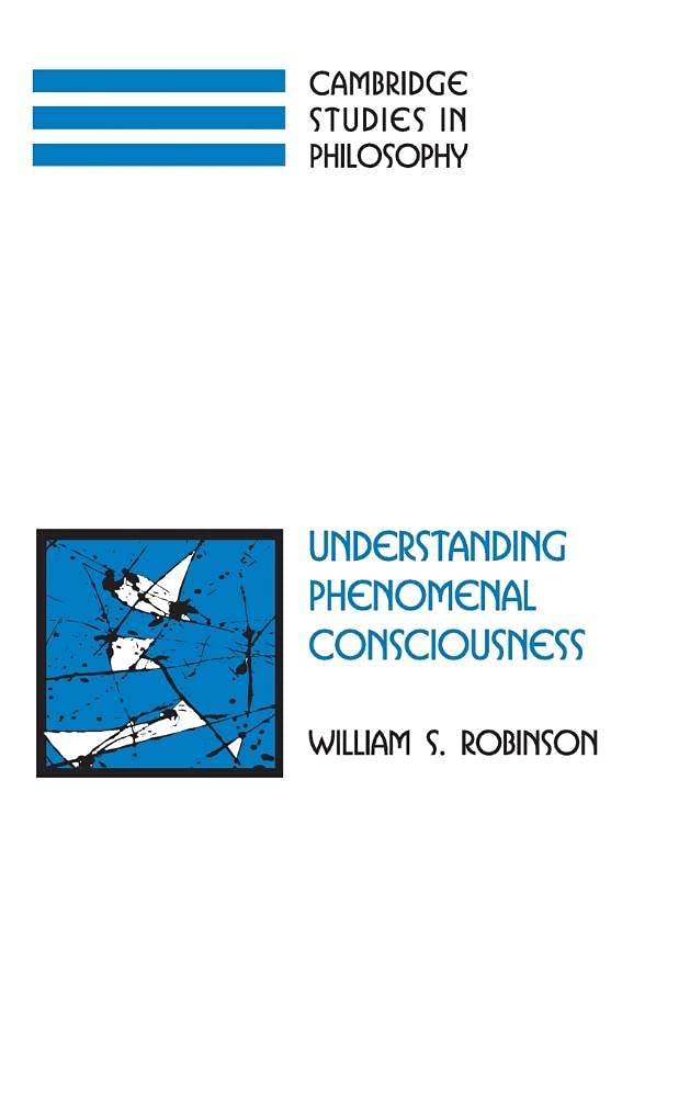 Understanding Phenomenal Consciousness (Cambridge Studies in Philosophy) - Retail Maharaj