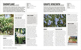 Grow Bulbs: Essential Know-how and Expert Advice for Gardening Success