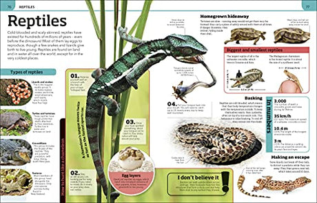 Animal Knowledge Genius!: A Quiz Encyclopedia to Boost Your Brain - Retail Maharaj