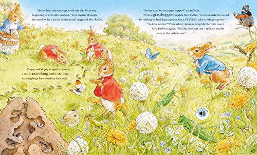 Peter Rabbit: Peter's Nature Walk: A Sound Book - Retail Maharaj