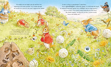 Peter Rabbit: Peter's Nature Walk: A Sound Book - Retail Maharaj