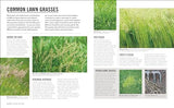 Grow Lawns: Essential Know-how and Expert Advice for Gardening Success