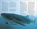 Sharks: Riveting Reads for Curious Kids (Mega Bites)