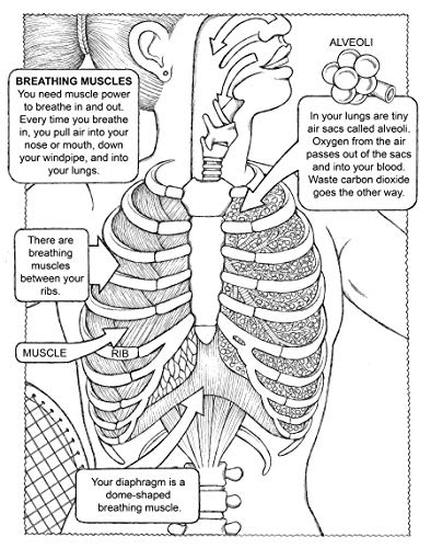 My First Human Body Book