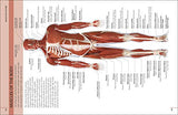 The Concise Human Body Book