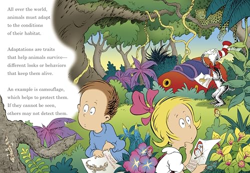 High? Low? Where Did It Go? : All About Animal Camouflage