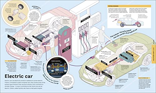 How Everything Works: From Brain Cells to Black Holes