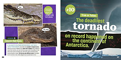 Totally Random Questions Volume 1: 101 Wild and Weird Q&As