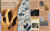 Dinosaurs A Children's Encyclopedia - Retail Maharaj