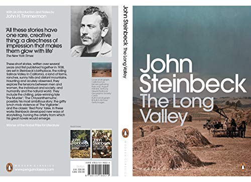 The Long Valley (Penguin Modern Classics) - Retail Maharaj