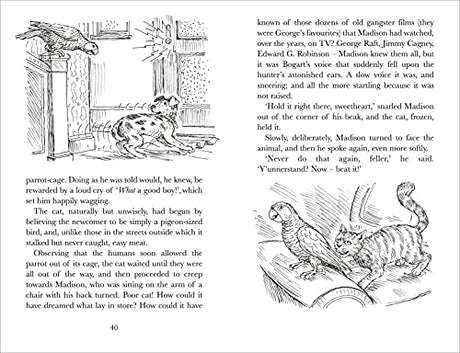 Harry's Mad - Retail Maharaj