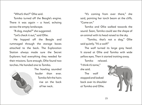 The Secret Explorers and the Ice Age Adventure