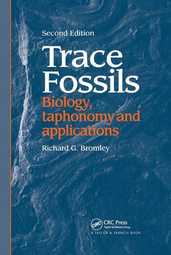 Trace Fossils - Retail Maharaj
