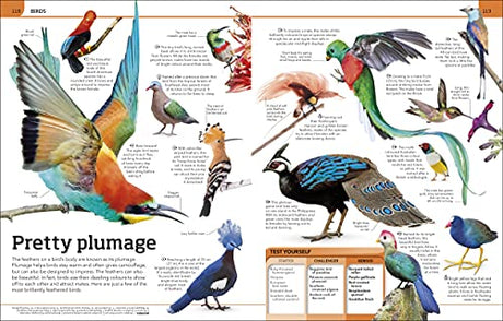 Animal Knowledge Genius!: A Quiz Encyclopedia to Boost Your Brain - Retail Maharaj