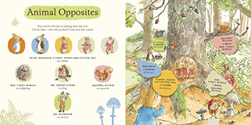 What Can You See Peter?: Very Big Lift the Flap Book (Peter Rabbit Baby Books) - Retail Maharaj