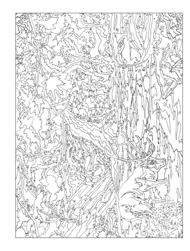 Creative Haven Autumn Inspirations Color by Number