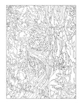 Creative Haven Autumn Inspirations Color by Number